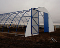 Коровник на 10 голов