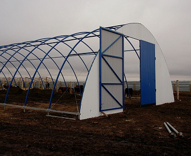 Коровник на 10 голов